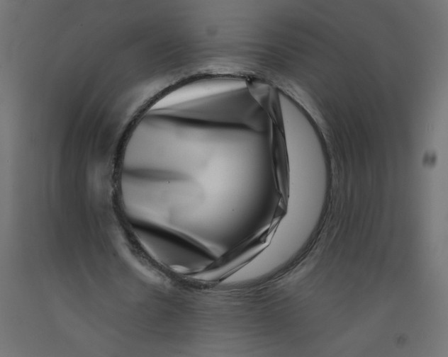 X0000092290530200710121436