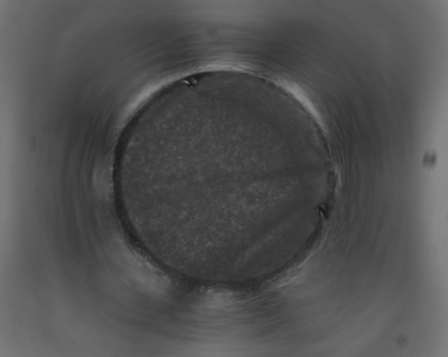 X0000092290531200710121436