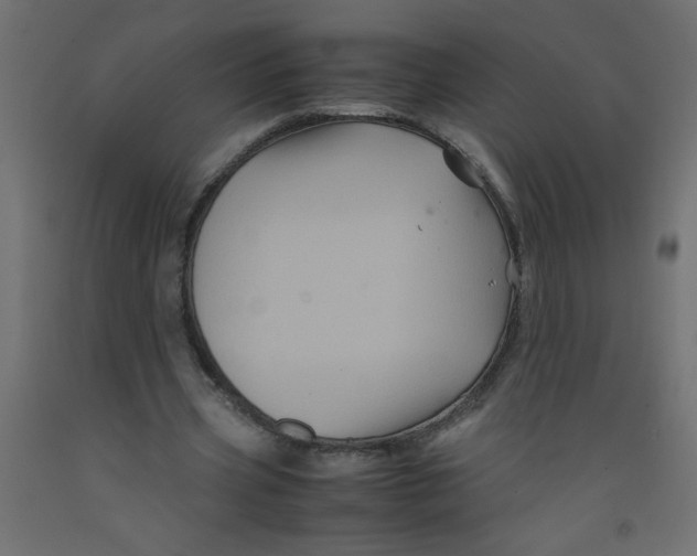 X0000092290533200710121436