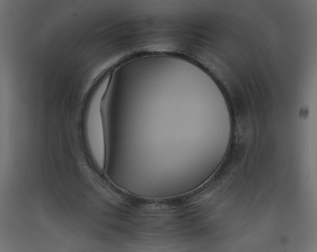 X0000092290535200710121436