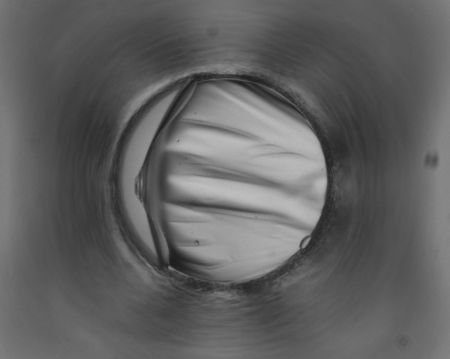 X0000092290536200710121436