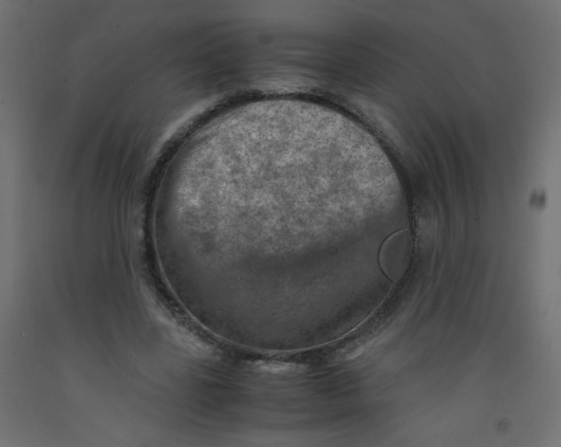 X0000092290539200710121436