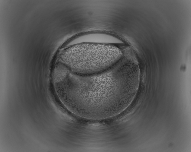 X0000092290540200710121436