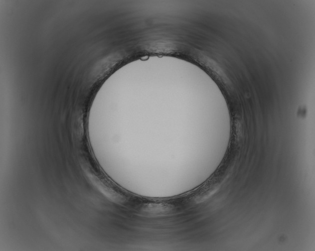 X0000092290541200710121436