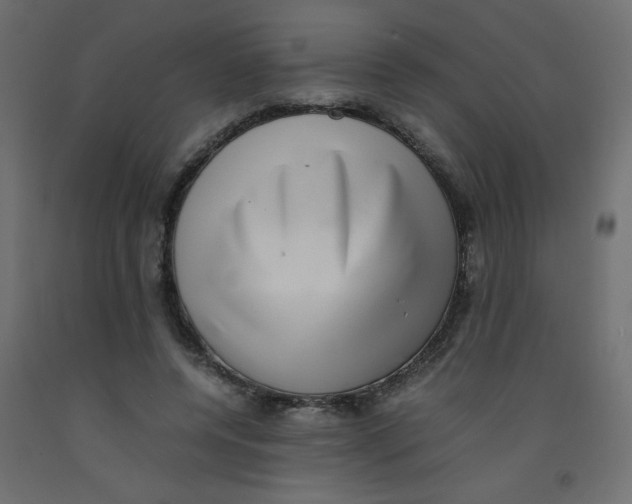 X0000092290544200710121436