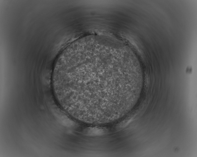 X0000092290545200710121436