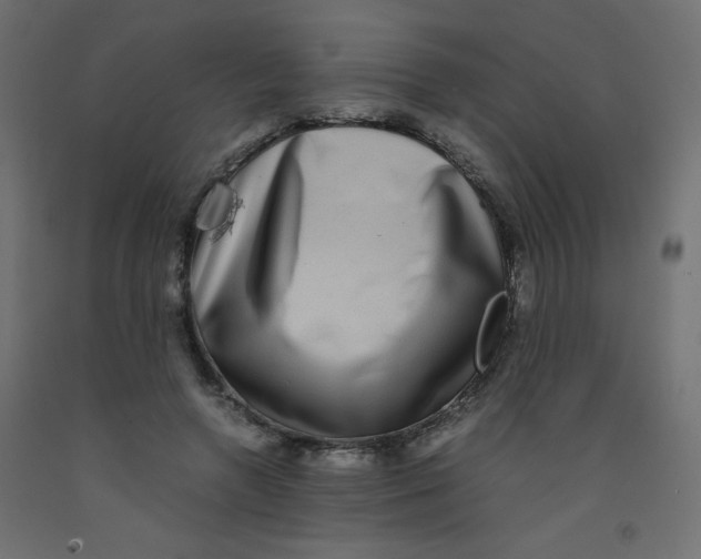 X0000092290546200710121436