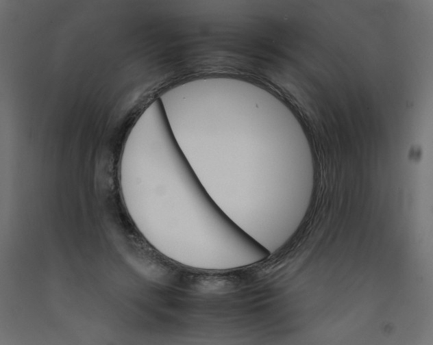 X0000092290547200710121436