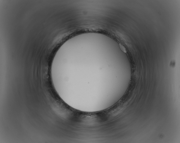 X0000092290548200710121436