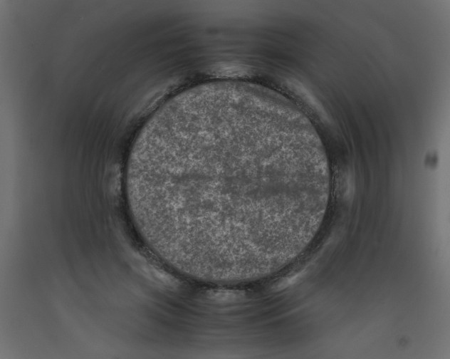 X0000092290549200710121436