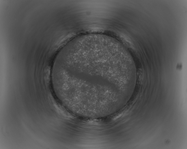 X0000092290550200710121436