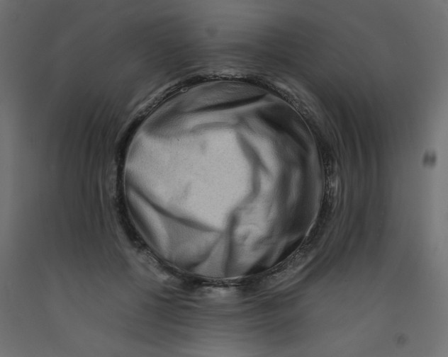 X0000092290552200710121436