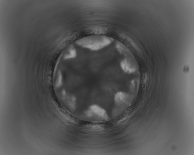 X0000092290553200710121436