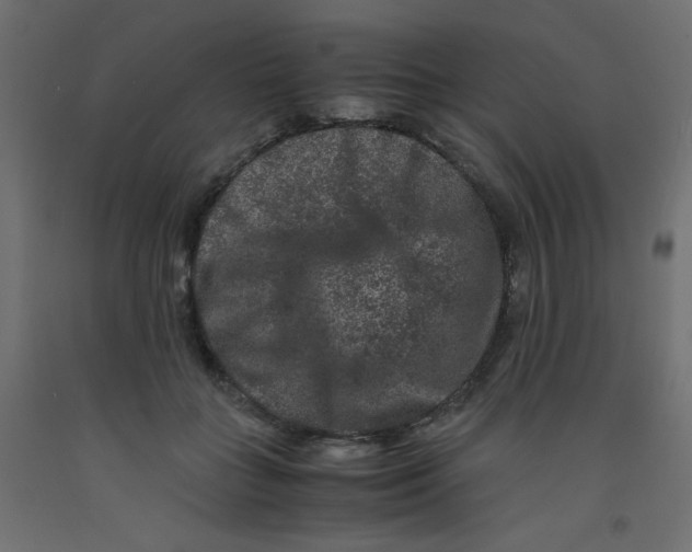 X0000092290555200710121436