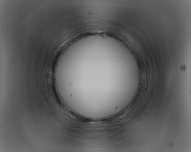 X0000092290556200710121436