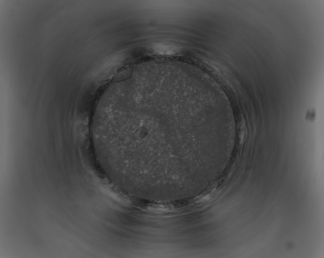 X0000092290559200710121436