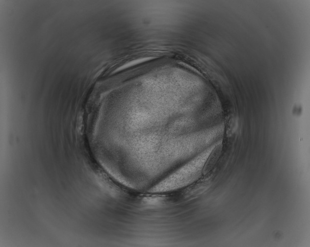 X0000092290560200710121436