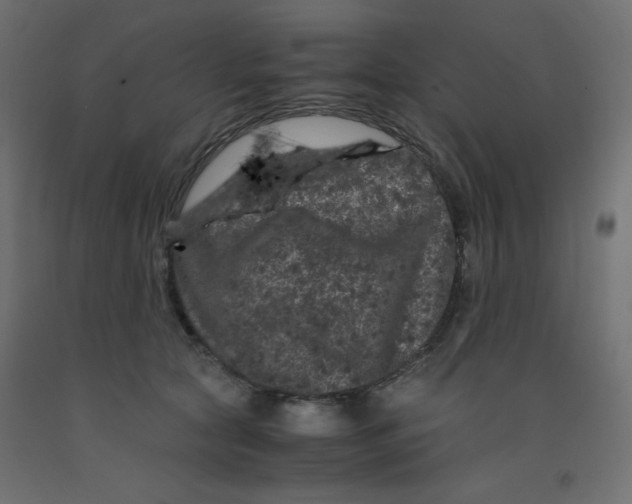 X0000092290561200710121436