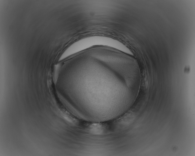 X0000092290562200710121436