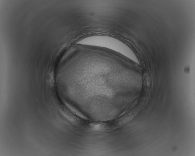 X0000092290564200710121436