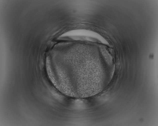 X0000092290566200710121436