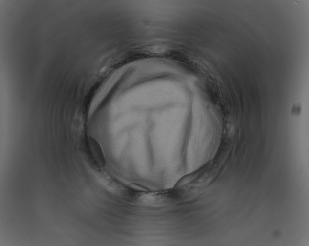 X0000092290568200710121436