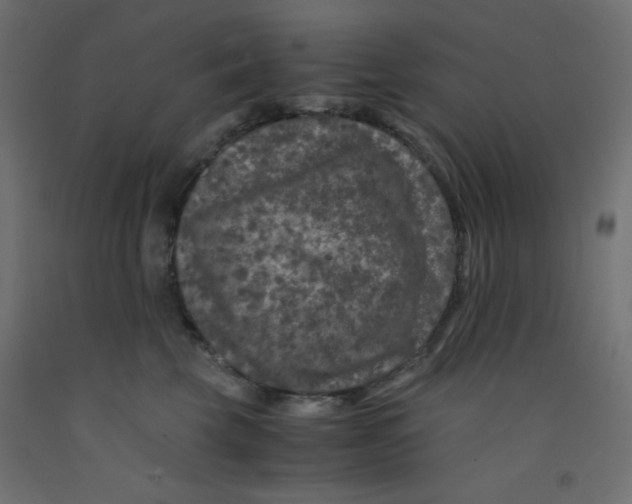 X0000092290569200710121436