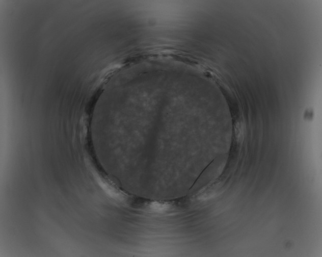 X0000092290570200710121436