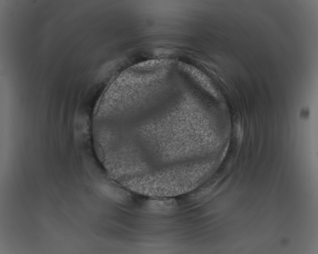 X0000092290571200710121436