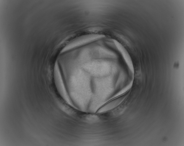 X0000092290572200710121436