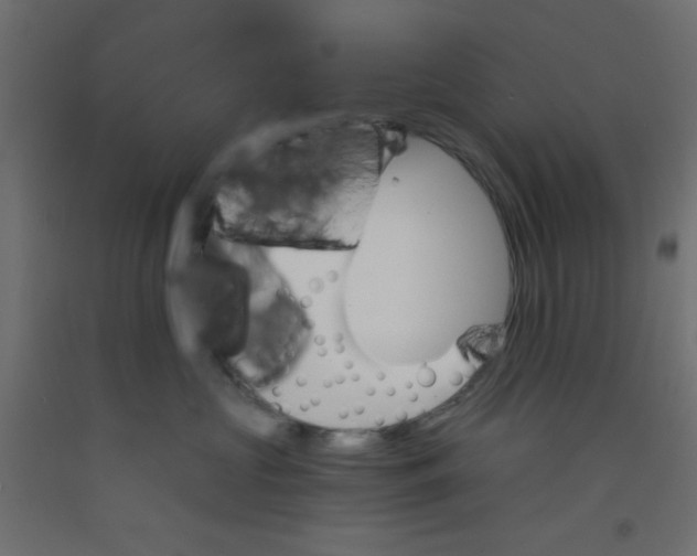 X0000092290573200710121436