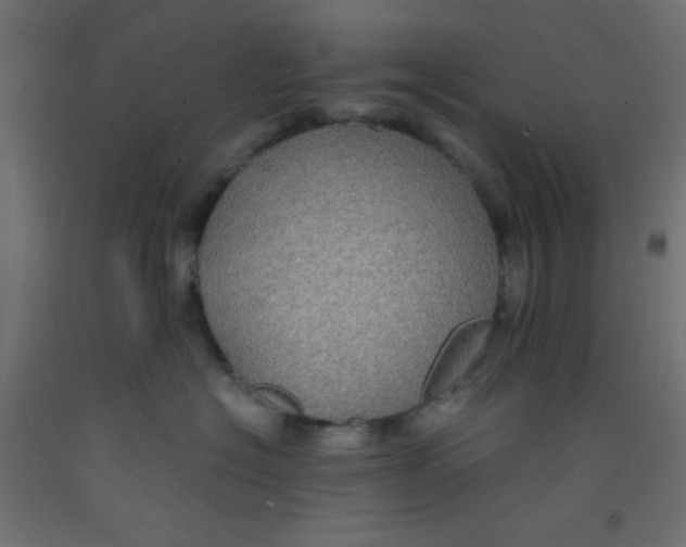 X0000092290574200710121436