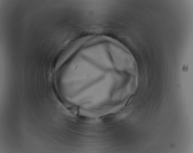 X0000092290576200710121436