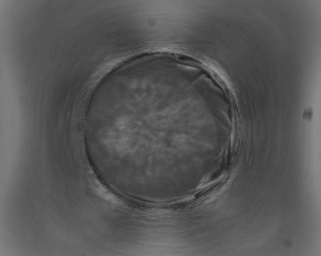 X0000092290577200710121436