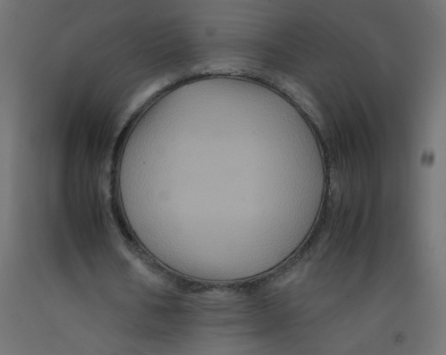 X0000092290578200710121436