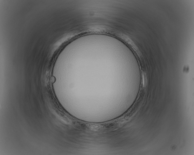 X0000092290579200710121436