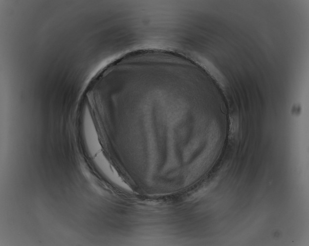 X0000092290580200710121436