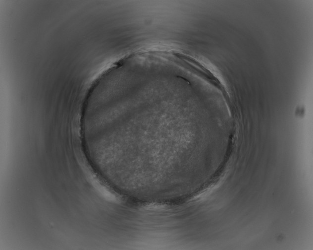 X0000092290581200710121436