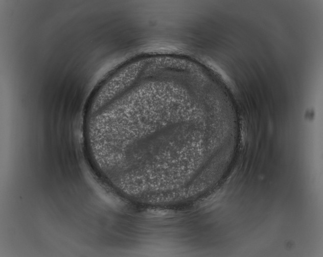 X0000092290582200710121435