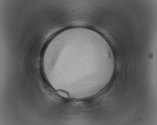 X0000092290583200710121435