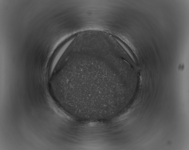 X0000092290584200710121435