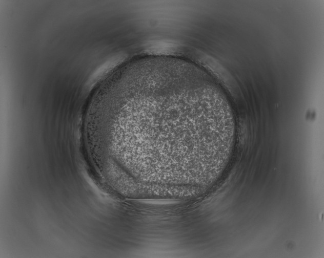 X0000092290586200710121435