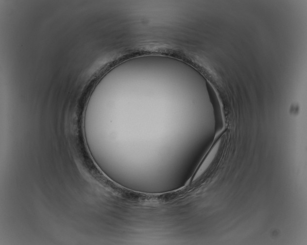 X0000092290587200710121435