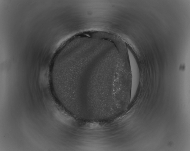 X0000092290588200710121435