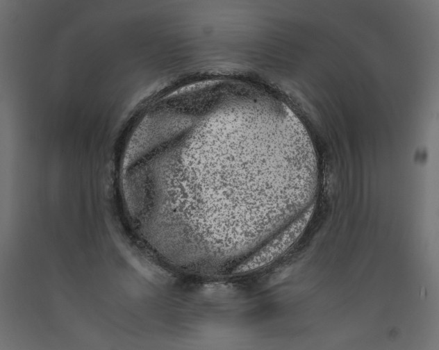 X0000092290591200710121435