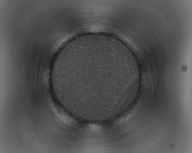 X0000092290592200710121435