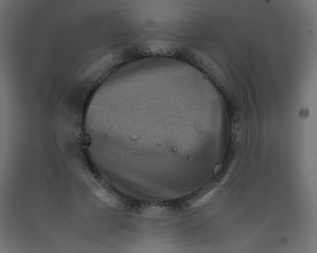 X0000092290593200710121435