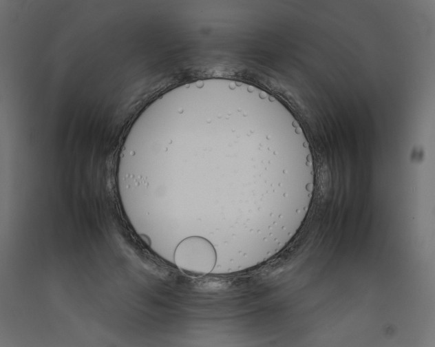 X0000092290594200710121435