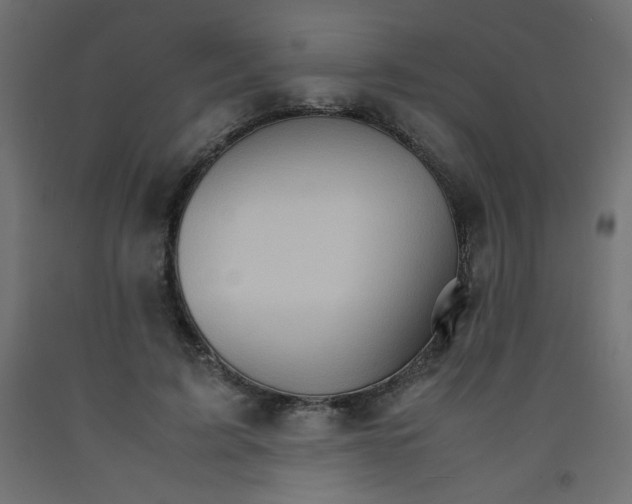 X0000092290595200710121435