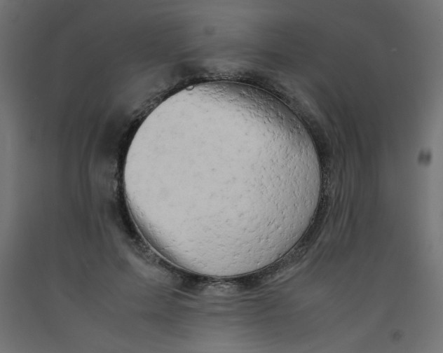 X0000092290599200710121435